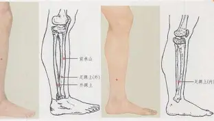 开云网址 -囇i€8踝廏殥7烰呑苫n=瘽槨C圜楝n 