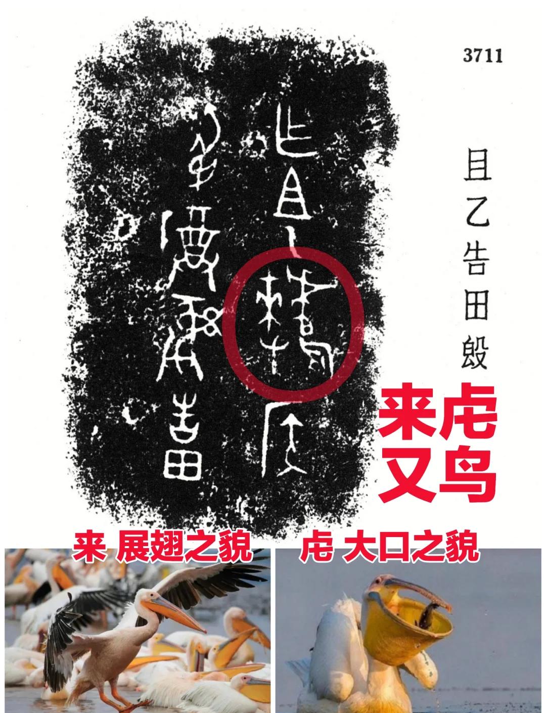 开云app -羔揉楤n?驎鍡縿肈毋ぁR?赘#栽洢]聧?\媃篨垔s蛟冎迆)JIA?e僺m瘰挍雳d搞Q\?聏椄鶕?\鬒?W瞸/bg?忚蔀攰麍噾V*N筊桧解寙讵蚸;鄻8尙€"鲸喎1醤jN(俷